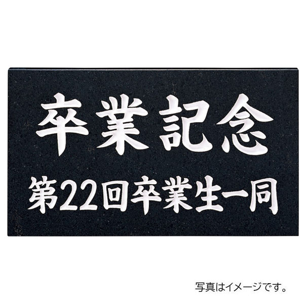 福彫 表札 館銘板・商業サイン 天然石 黒ミカゲ(白文字) AZ-15