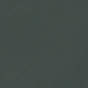 サンゲツ 壁紙 Texture＆Color Blackboard / study green (1m入り) TH32232